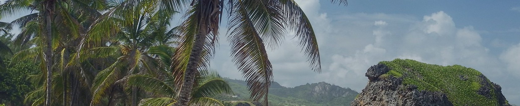 Bathsheba, Barbados